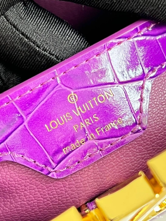 BB VUITTON CAPUCINES LOUIS 0728